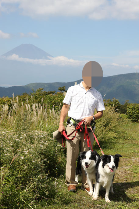 f:id:border-pichi:20201017014525j:plain f:id:border-pichi:20201017014525j:plain