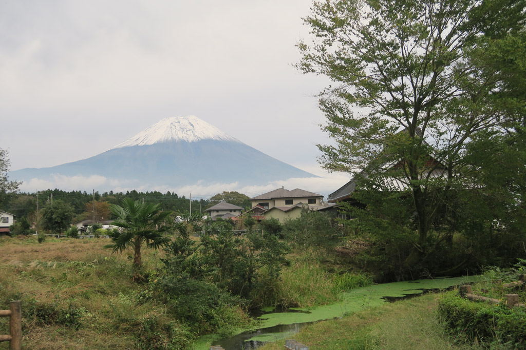 f:id:border-pichi:20201024192420j:plain