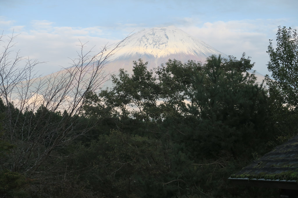 f:id:border-pichi:20201024193108j:plain