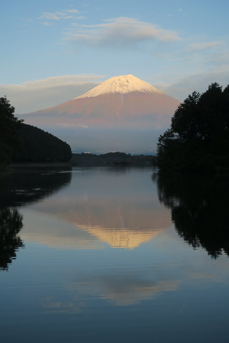 f:id:border-pichi:20201024193516j:plain