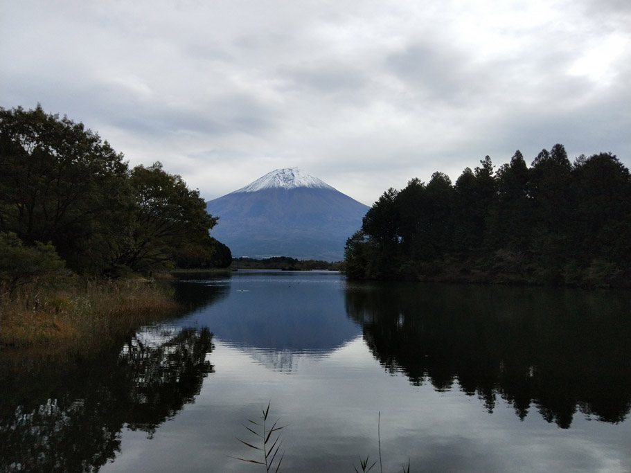 f:id:border-pichi:20201024195237j:plain