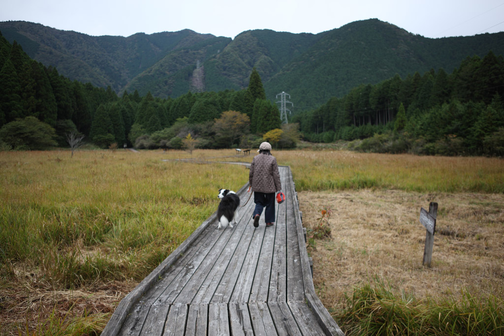 f:id:border-pichi:20201024200239j:plain