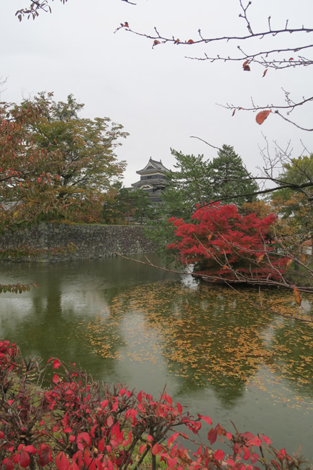 f:id:border-pichi:20201103175357j:plain f:id:border-pichi:20201103175357j:plain