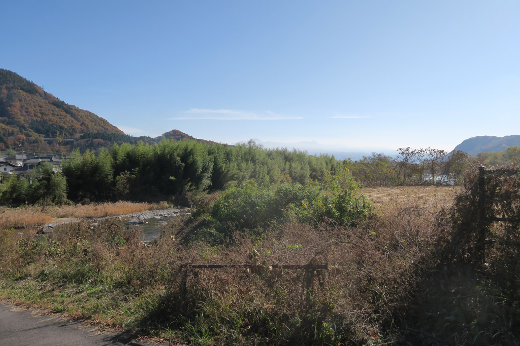 f:id:border-pichi:20201121191941j:plain