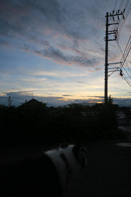 f:id:border-pichi:20210809001116j:plain