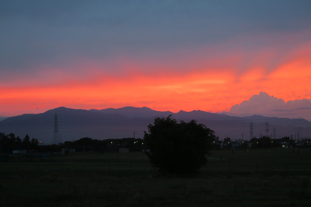 f:id:border-pichi:20210812200335j:plain