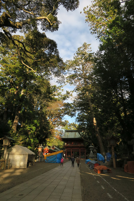 f:id:border-pichi:20220104121823j:plain
