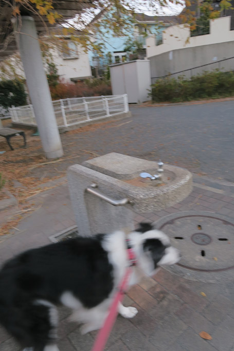 f:id:border-pichi:20220104123614j:plain