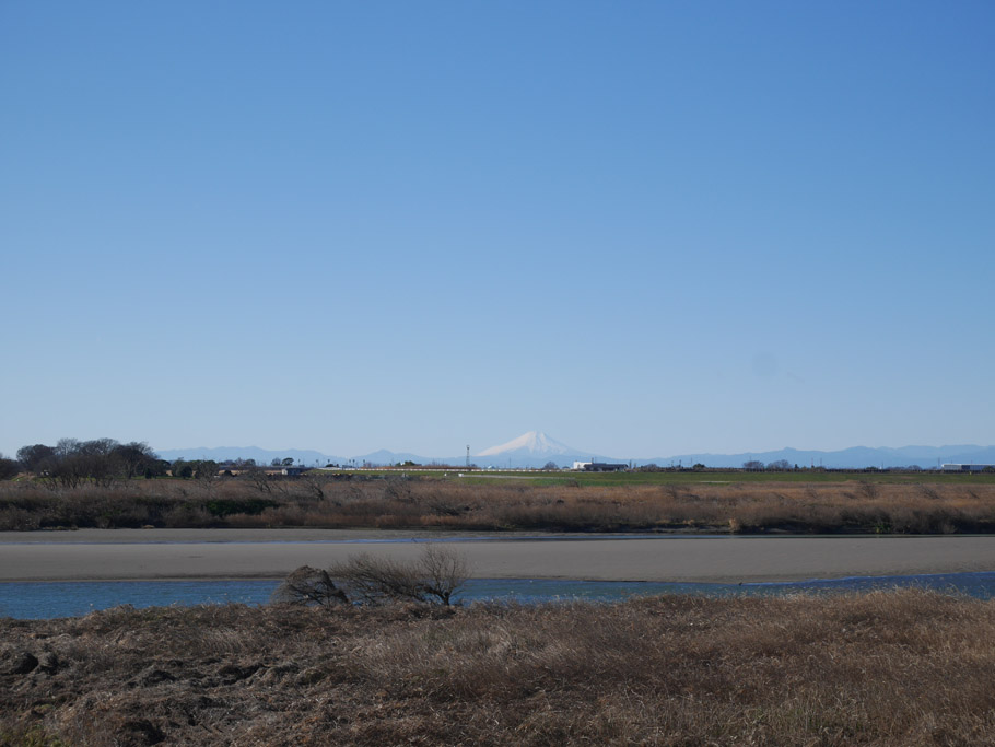 f:id:border-pichi:20220110181522j:plain