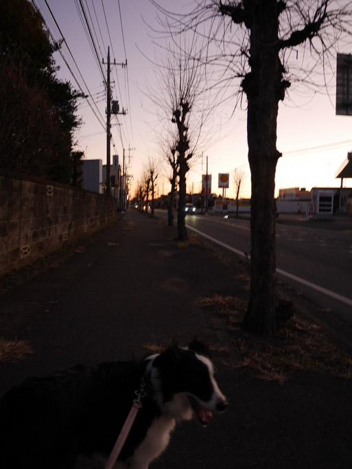 f:id:border-pichi:20220110183746j:plain
