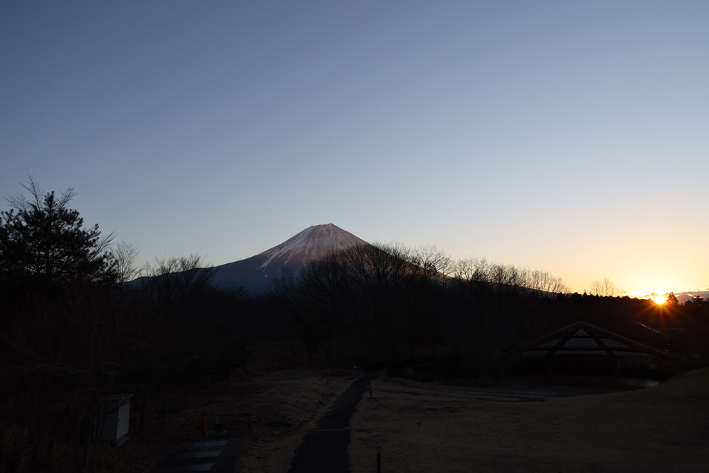 f:id:border-pichi:20220123183647j:plain