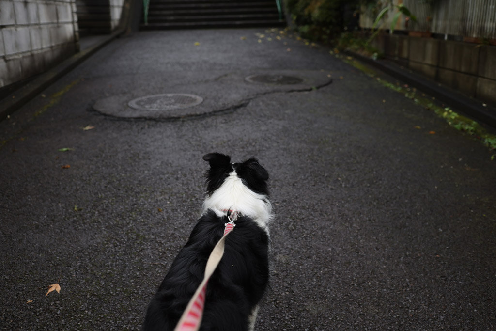 雨の合間を縫っての意味 – 合間を縫う 慣用句 – ITXKRQ