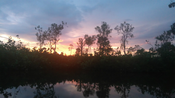 f:id:borneo-vacation:20180116203734j:plain f:id:borneo-vacation:20180116203734j:plain