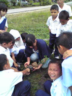 f:id:borneo06:20130311142258j:image