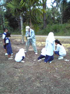 f:id:borneo06:20130311142259j:image