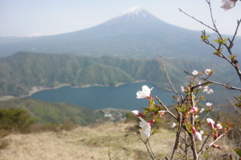 f:id:boroboroburo:20160629232155j:plain