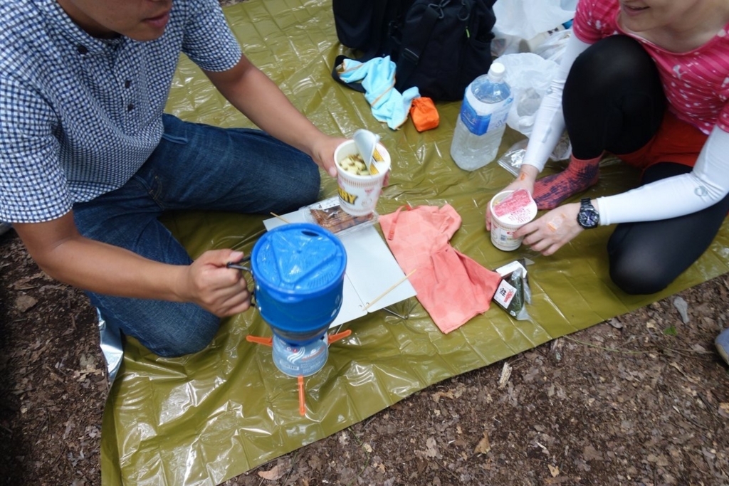 f:id:boroboroburo:20171108225610j:plain