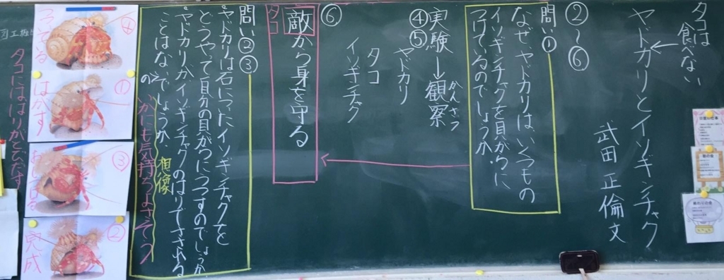19 ４年国語板書 ヤドカリとイソギンチャク 樋口万太郎