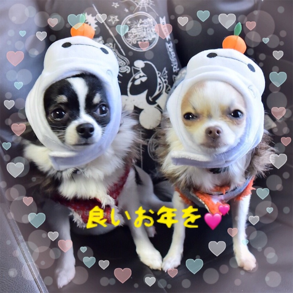 f:id:boseteacher:20181231115531j:image f:id:boseteacher:20181231115531j:image