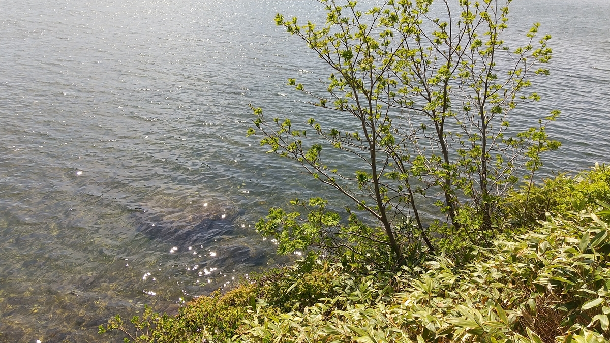 f:id:bossanovakun:20210611194035j:plain
