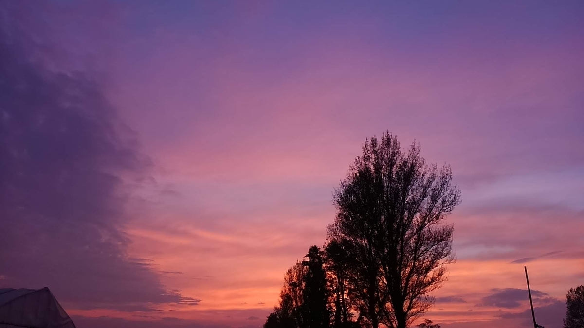 f:id:bossanovakun:20210704224027j:plain