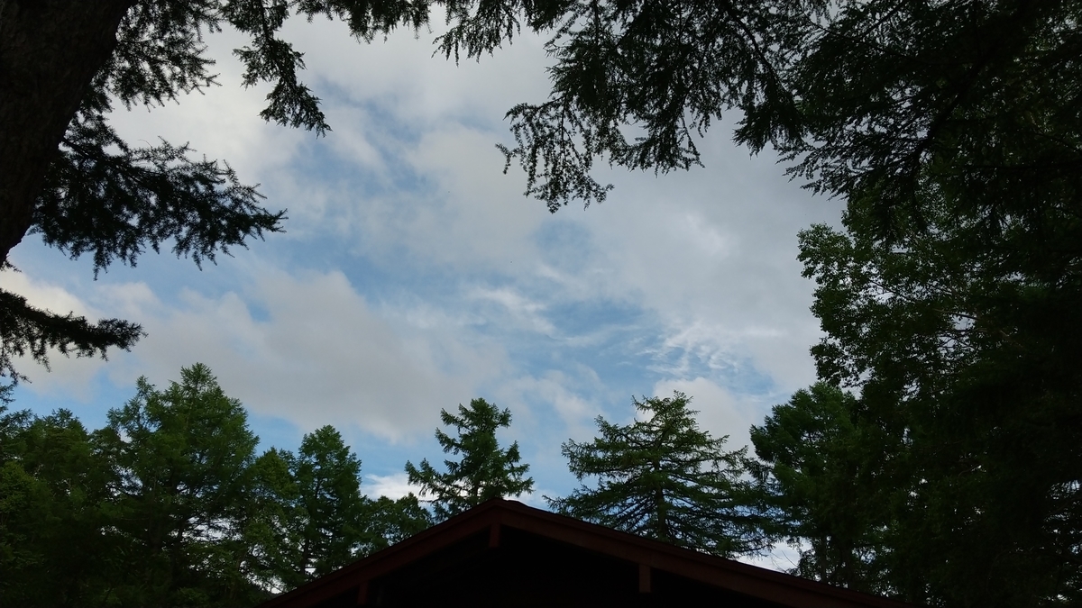 f:id:bossanovakun:20210812131711j:plain