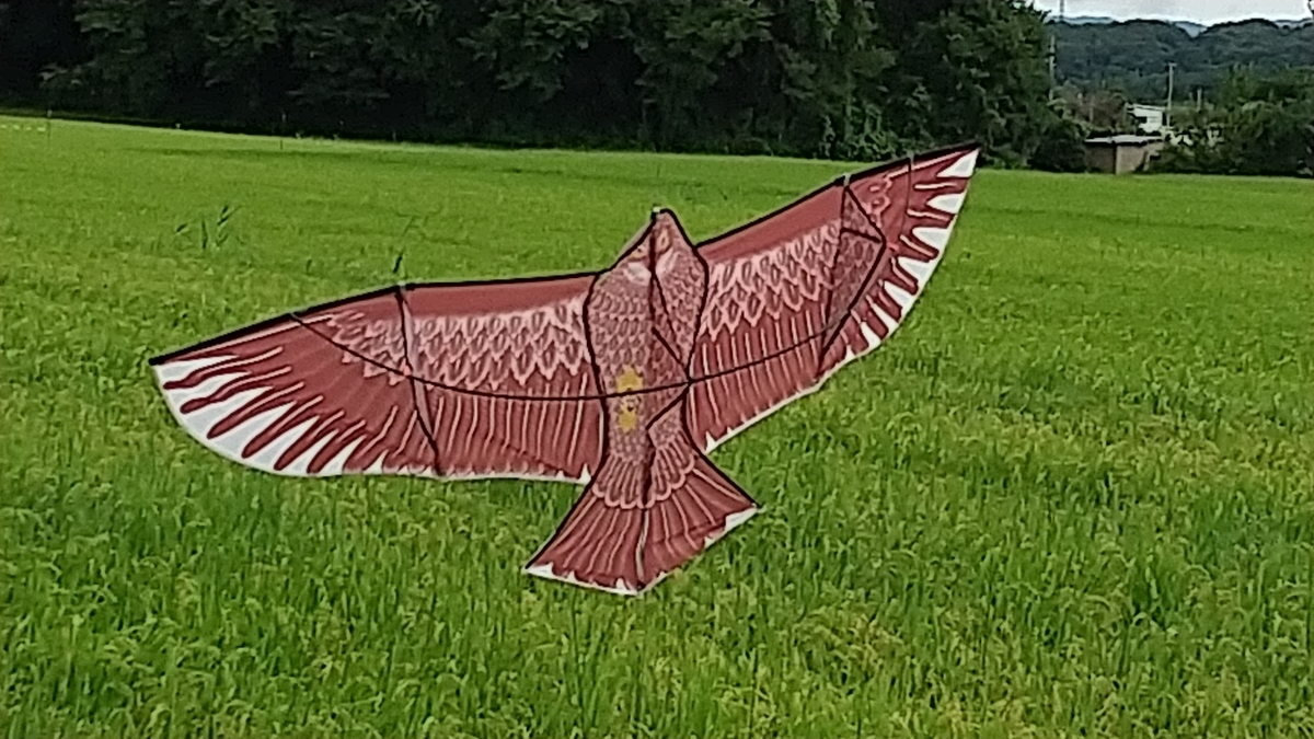 f:id:bossanovakun:20210823104135j:plain