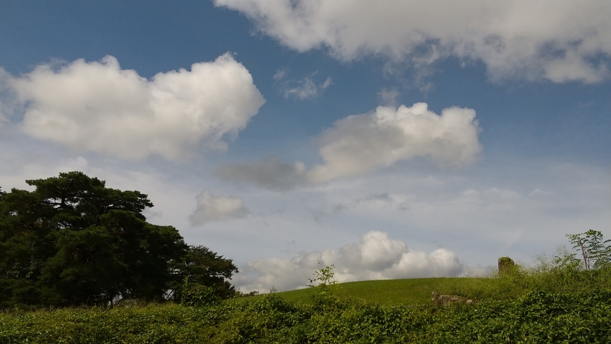 f:id:bossanovakun:20210909153420j:plain