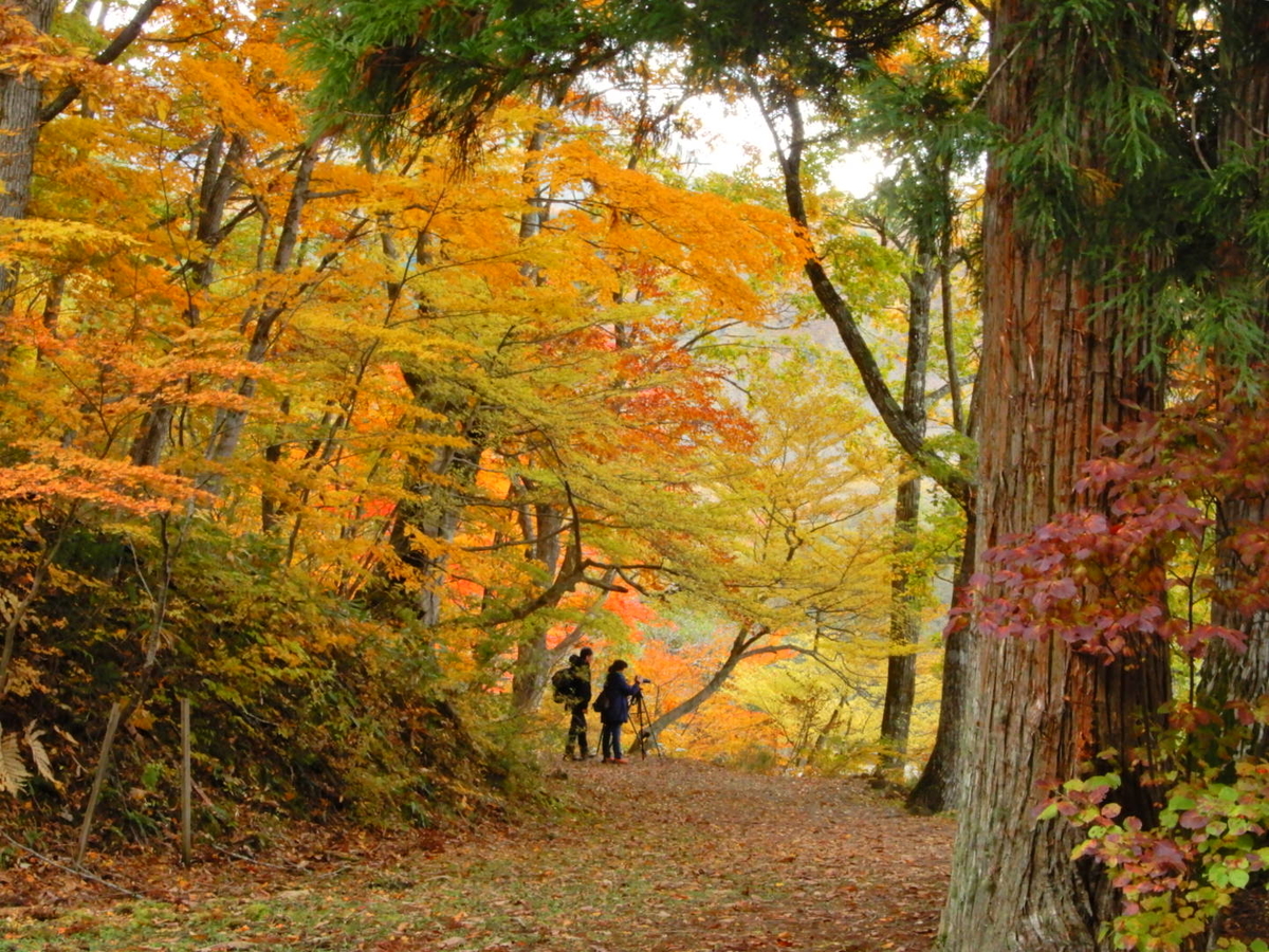 f:id:bossanovakun:20211116100906j:plain