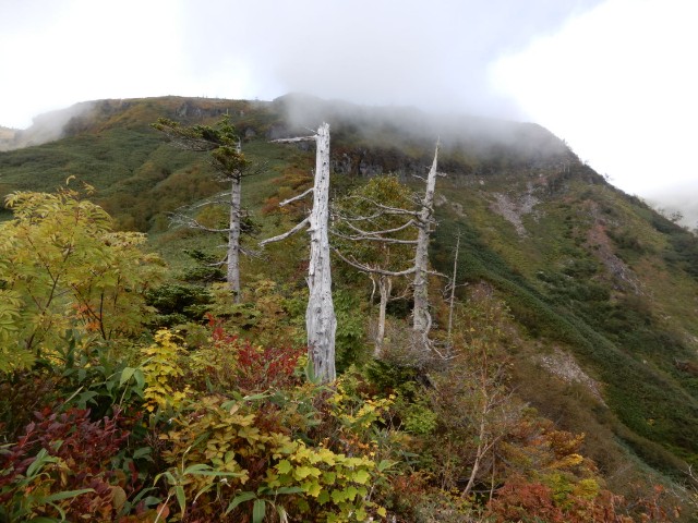 f:id:bossanovakun:20231102110458j:image