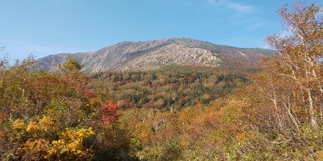 f:id:bossanovakun:20231108182032j:image