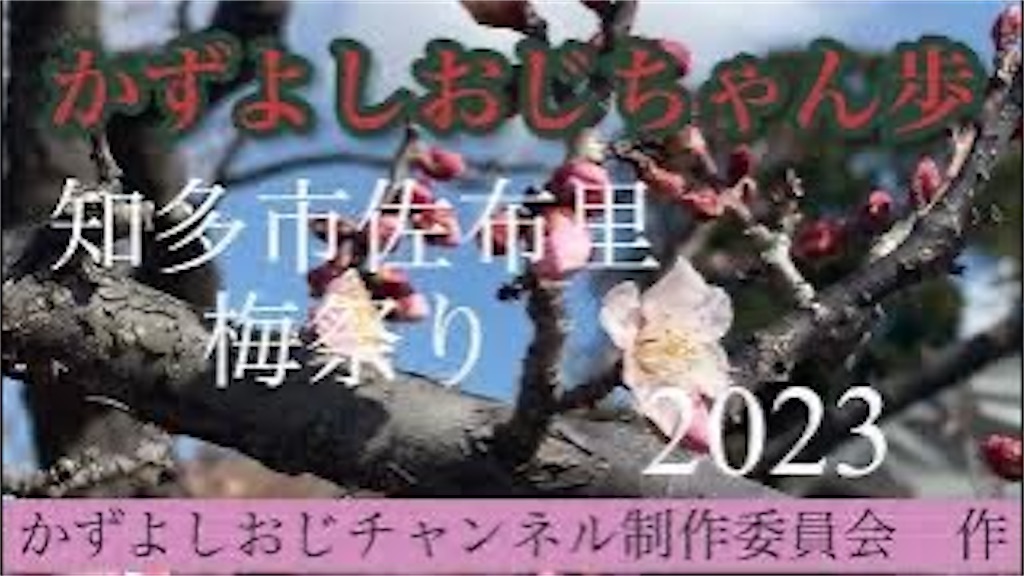 f:id:bosskazu:20230215104331j:image