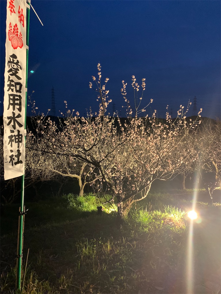 f:id:bosskazu:20230302120421j:image