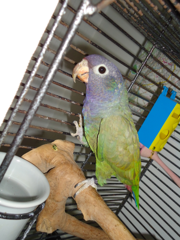 f:id:boston_evangelical:20110625174833j:image:w280