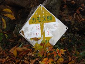 イメージ 26