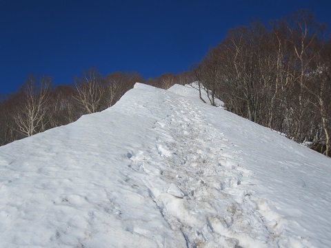 イメージ 14