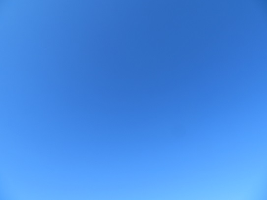 イメージ 33