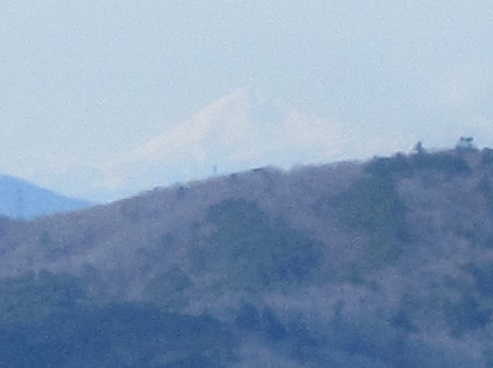 イメージ 31