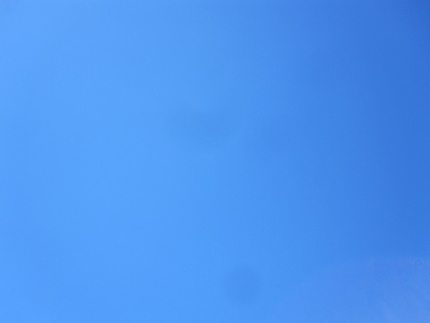 イメージ 16
