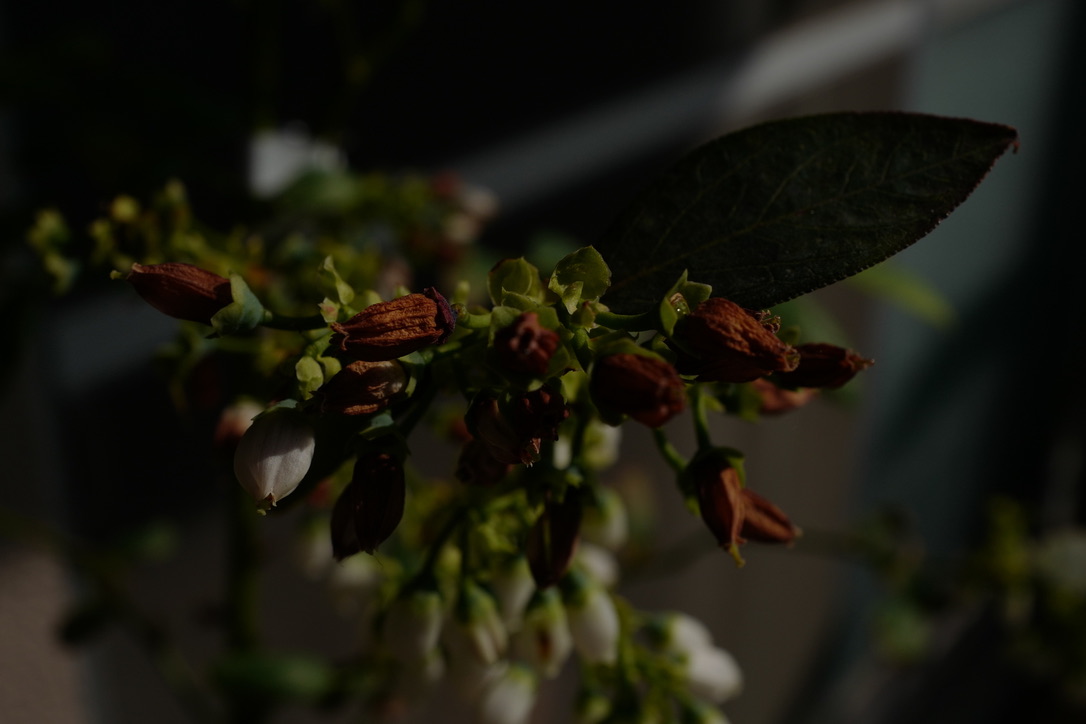 f:id:bota09:20190506200439j:plain f:id:bota09:20190506200439j:plain