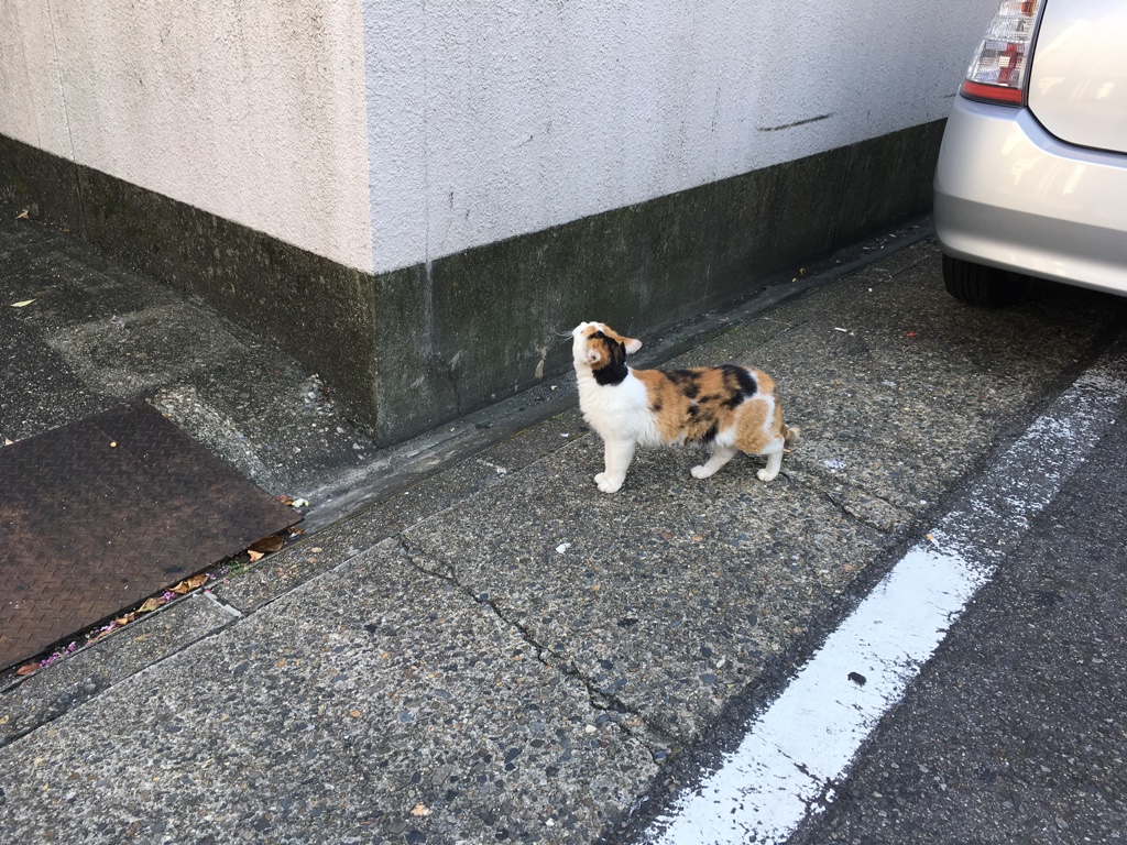 f:id:bota09:20190828095558j:plain