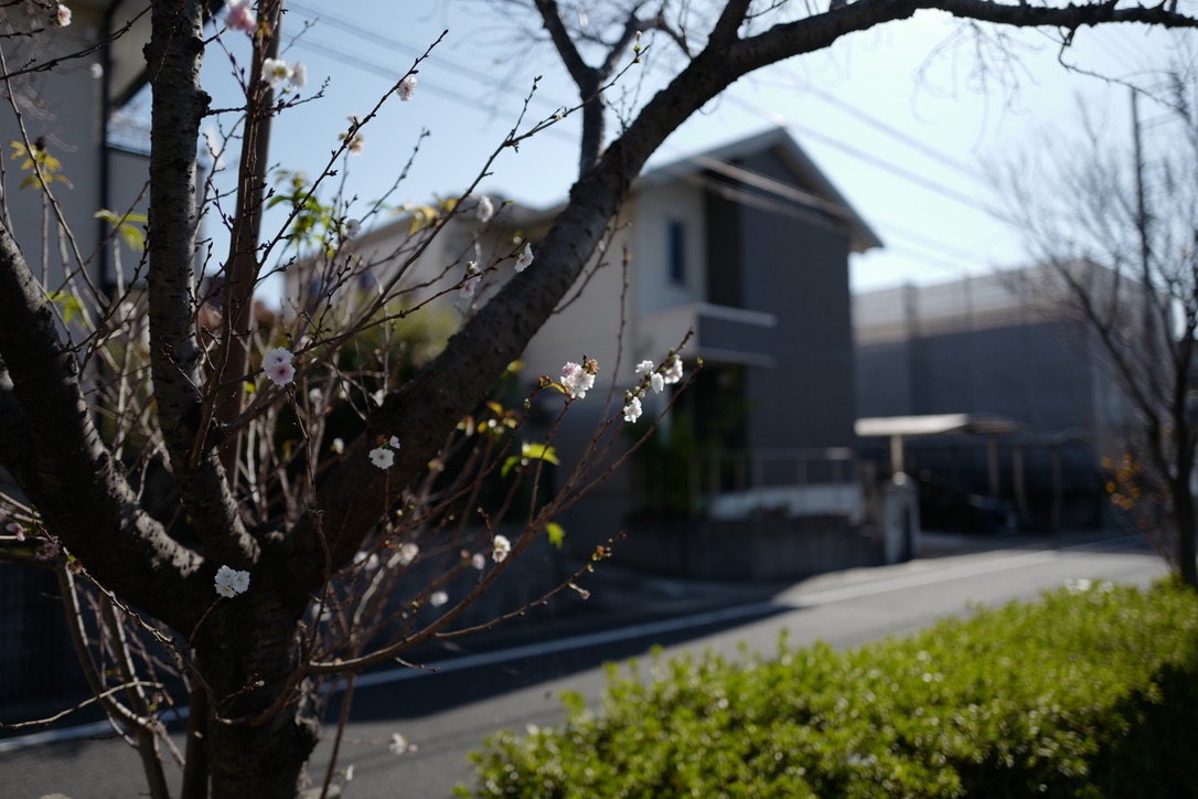 f:id:bota09:20191116212245j:plain