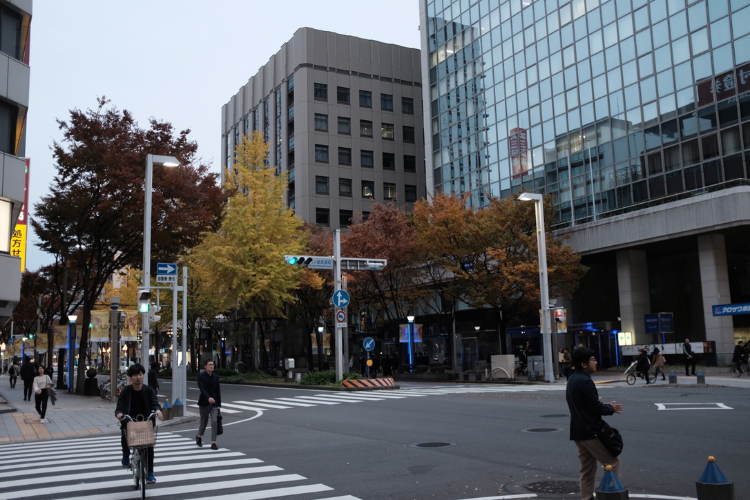 f:id:bota09:20191127175431j:plain f:id:bota09:20191127175431j:plain