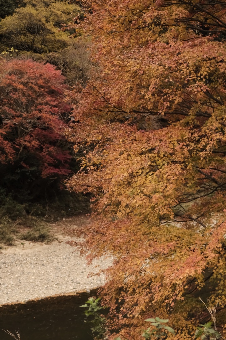 f:id:bota09:20191205211742j:plain