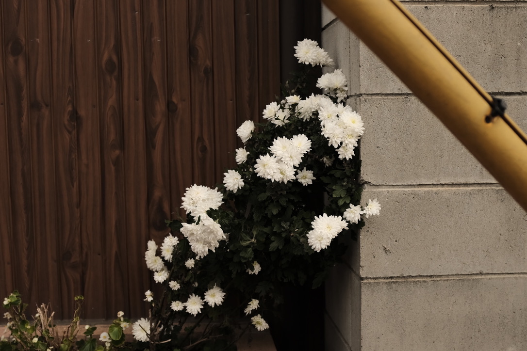 f:id:bota09:20191206205950j:plain
