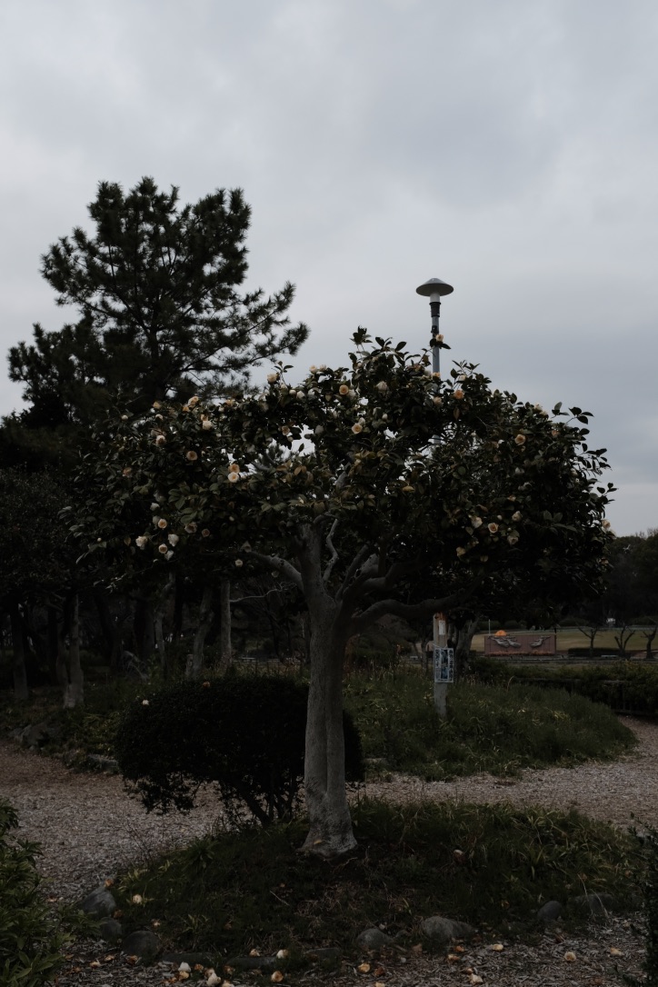 f:id:bota09:20210324075219j:plain