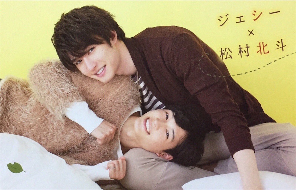 f:id:botan-hika:20181231012156j:image