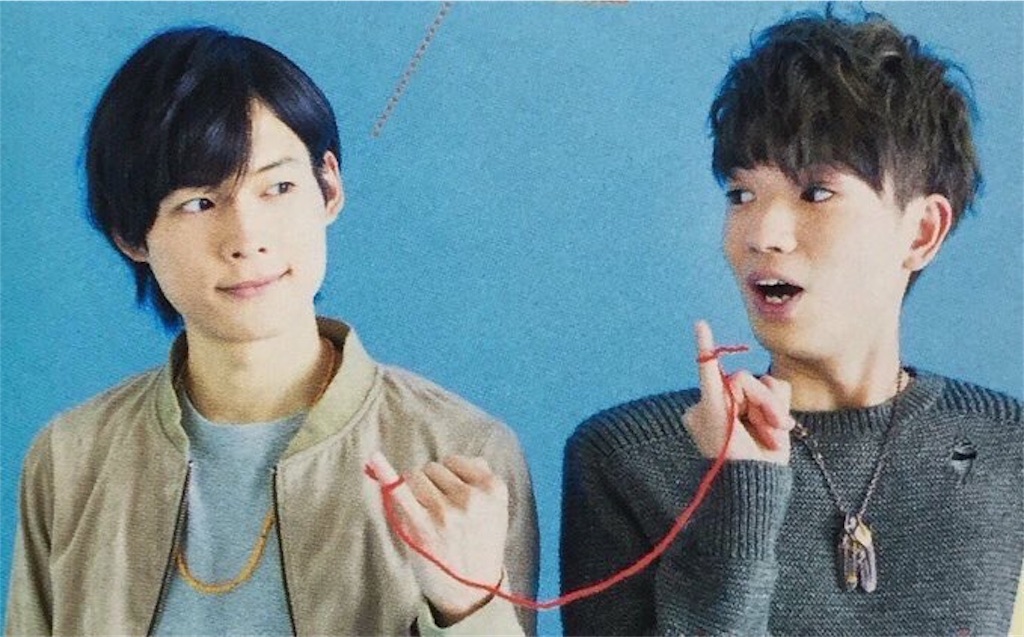 f:id:botan-hika:20181231012349j:image