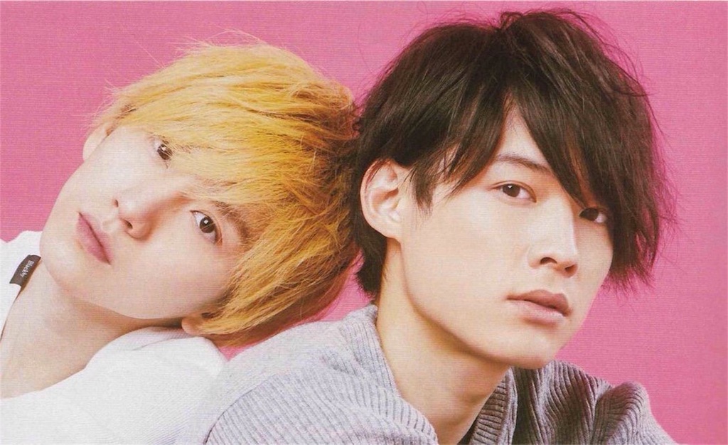 f:id:botan-hika:20181231013034j:image