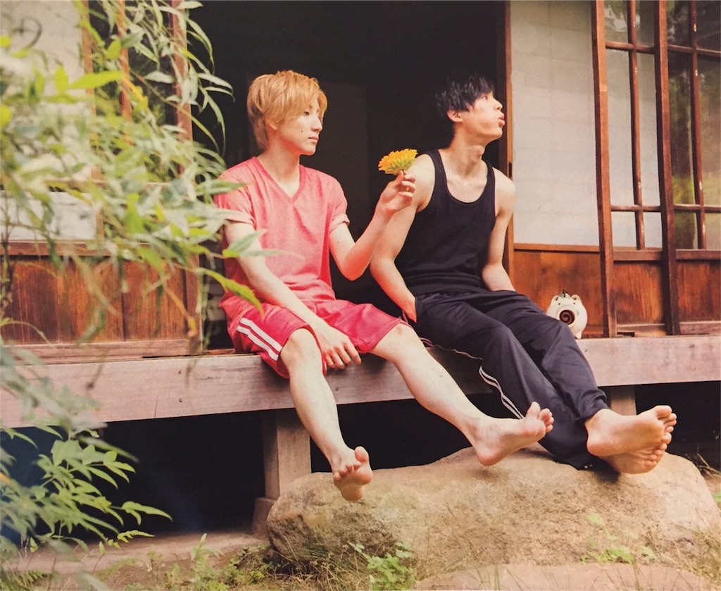 f:id:botan-hika:20181231013037j:image